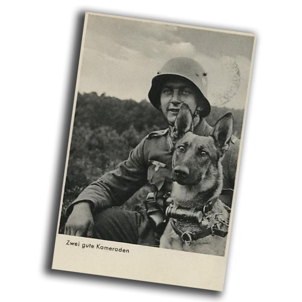 German soldier and dog in uniform vintage retro WW2 Photo Glossy 4*6 in B041