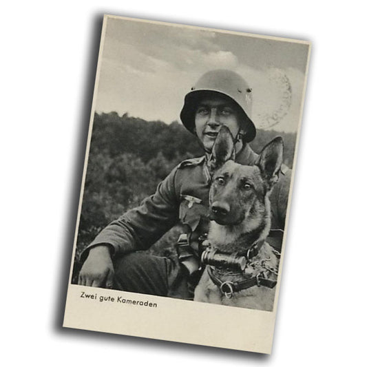 German soldier and dog in uniform vintage retro WW2 Photo Glossy 4*6 in B041