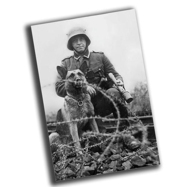 German soldier and dog vintage retro WW2 Photo Glossy 4*6 in B042