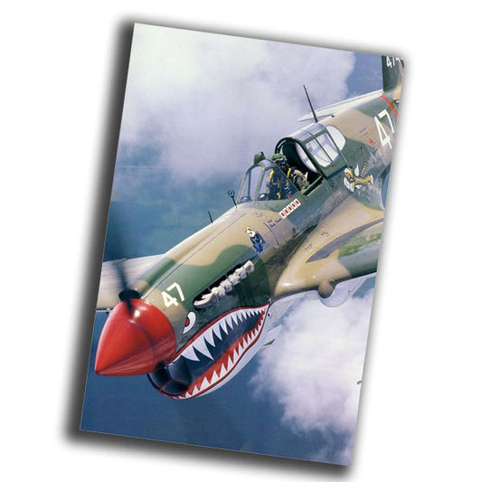 coloring page of the aircraft combat unit flying tigers WW2 Photo Glossy 4*6 in C058