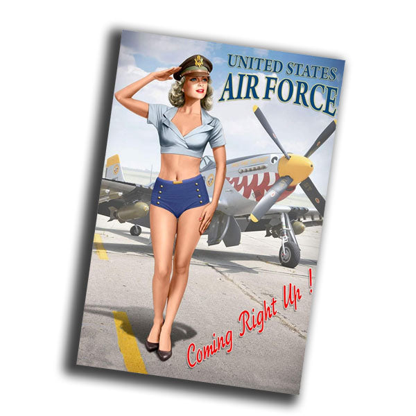 pin-up retro vintage illustration featuring a classic 1950s Photo Glossy 4*6 in D050