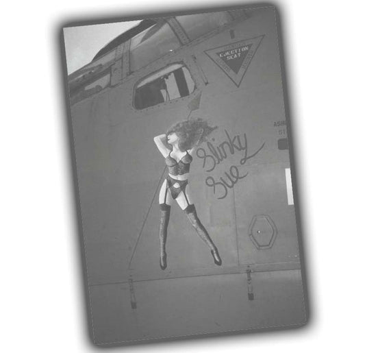 pinup style drawing on the fuselage of an airplane Photo Glossy 4*6 in E 036