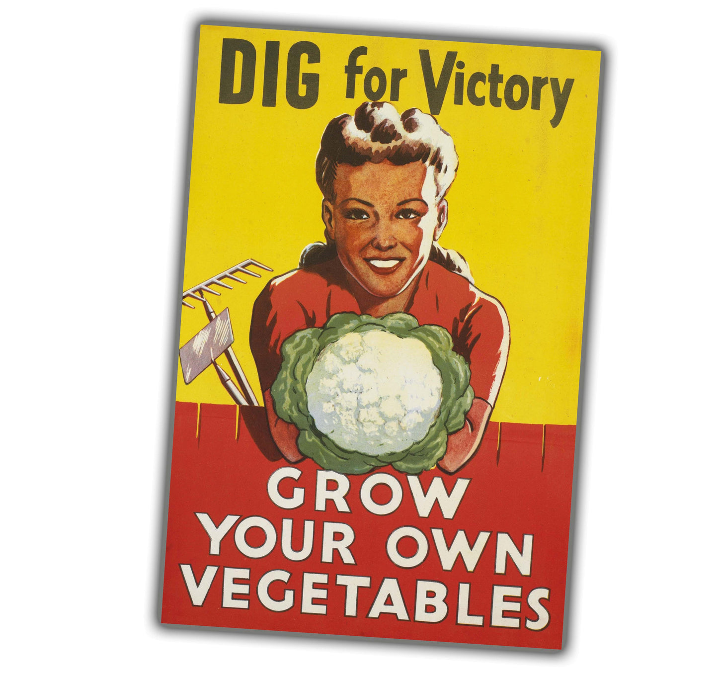 vintage classic retro picture from WW2 Photo Glossy 4*6 in G042