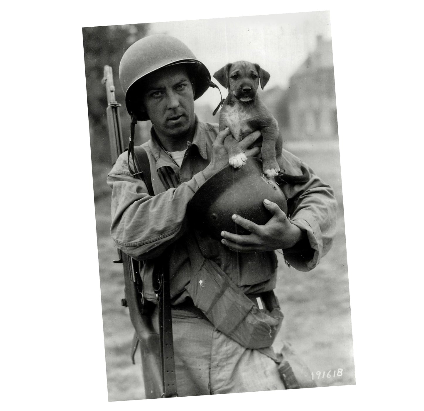 American soldier in Europe holding a puppy WW2 Photo Glossy 4*6 in K048