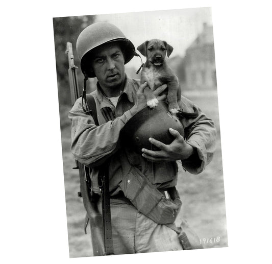 American soldier in Europe holding a puppy WW2 Photo Glossy 4*6 in K048