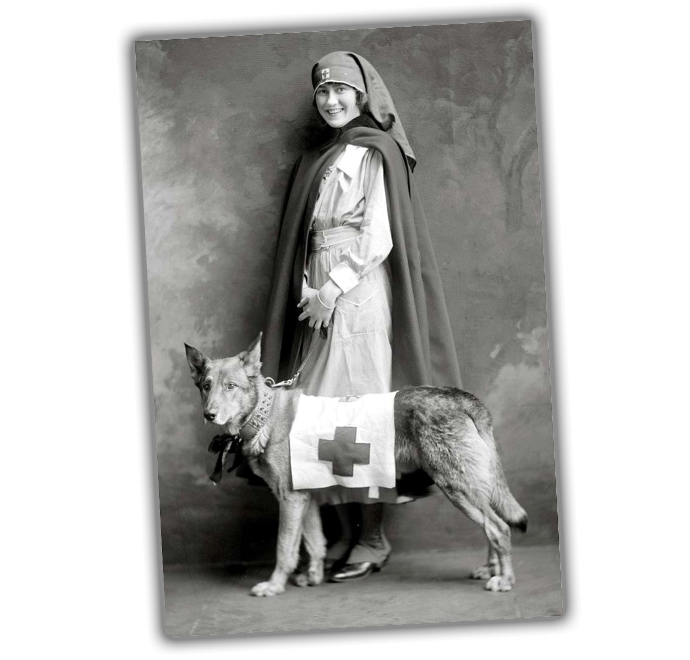 vintage classic retro woman nurse with dog WW2 Photo Glossy 4*6 in K051