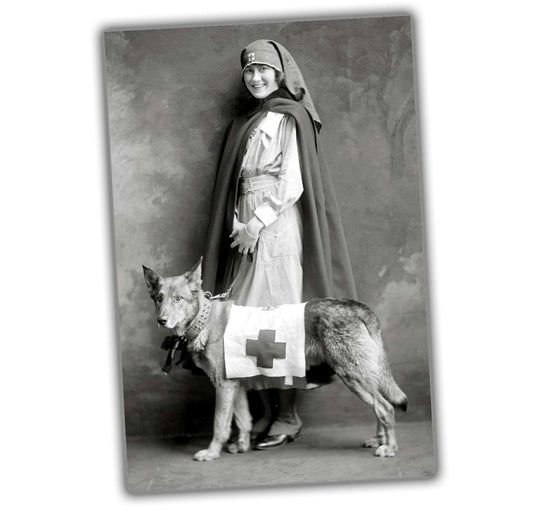 vintage classic retro woman nurse with dog WW2 Photo Glossy 4*6 in K051